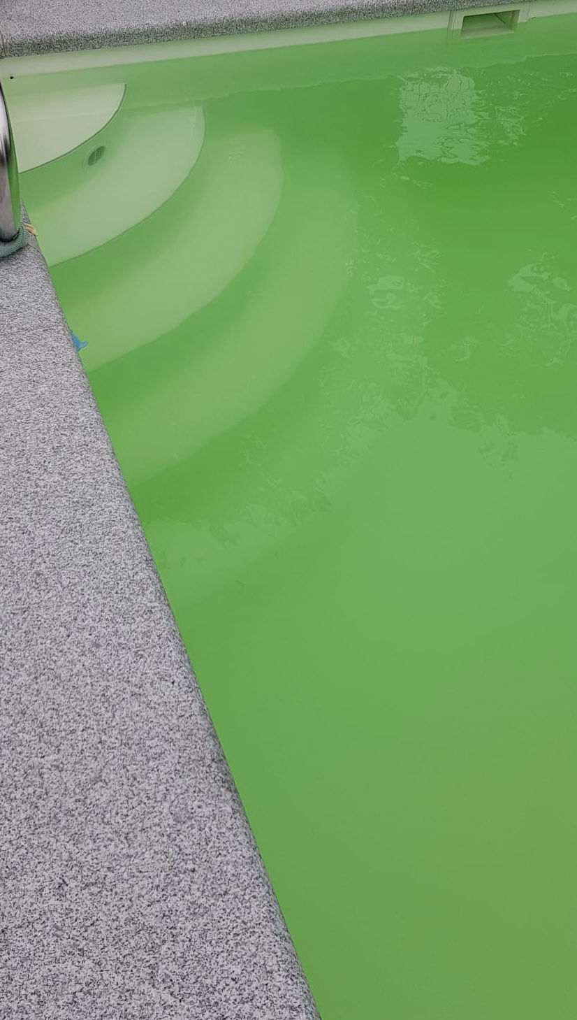 Eckschlager GmbH, Algen, Kampf gegen Algen, grünes Wasser, trübes Wasser, Algenbefall
