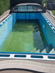 Eckschlager GmbH, Algen im Pool, Algenbefall, grünes Wasser, trübes Wasser, Phosphatgehalt im Wasser,
