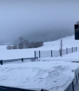 Eckschlager GmbH, Pool, Poolbau, Winter, Schnee, Pool Überdachung im WInter